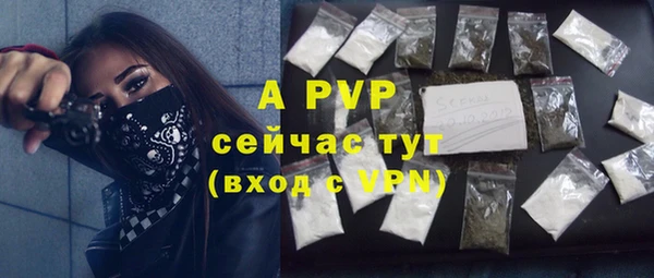 ECSTASY Белокуриха