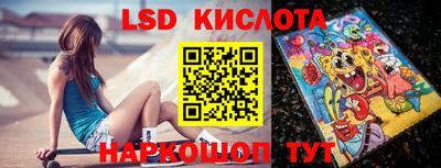 стафф Гатчина
