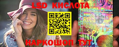 стафф Гатчина