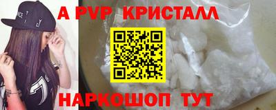 стафф Гатчина