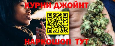 дмт Гай