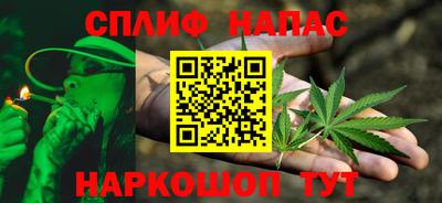 дмт Гай