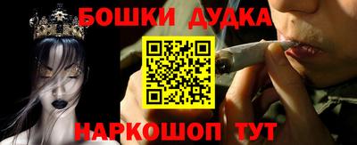 стафф Гатчина
