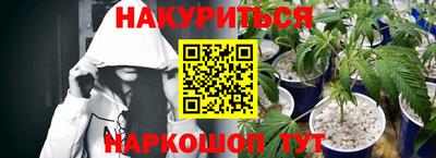 дмт Гай