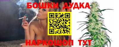стафф Гатчина
