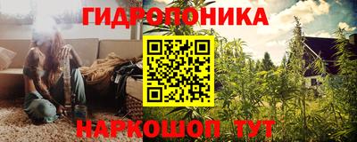 дмт Гай