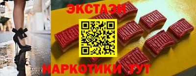 стафф Гатчина