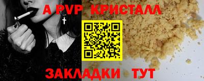 стафф Гатчина