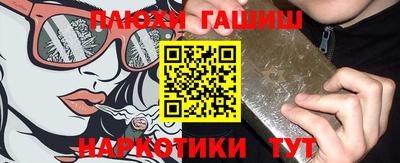 дмт Гай