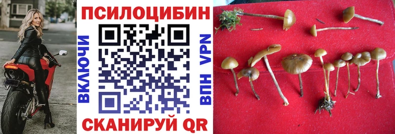 Галлюциногенные грибы ЛСД  блэк спрут сайт  Острогожск 