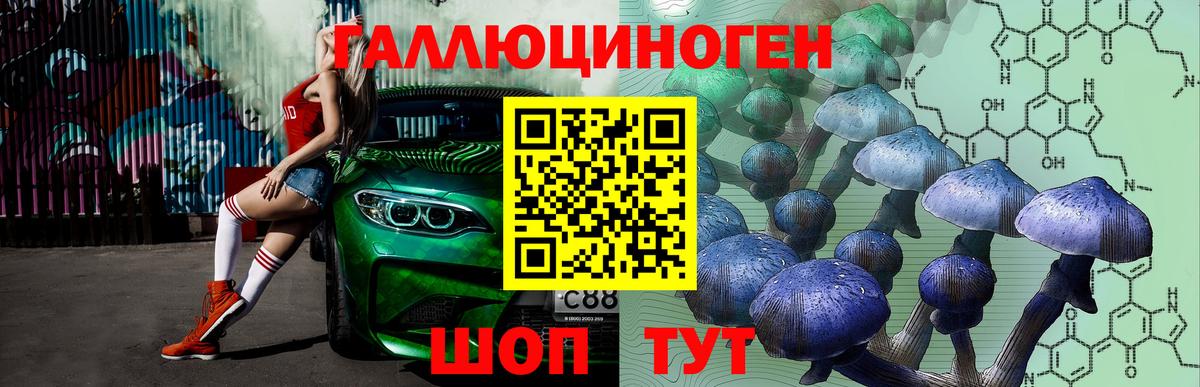 Псилоцибиновые грибы GOLDEN TEACHER Острогожск