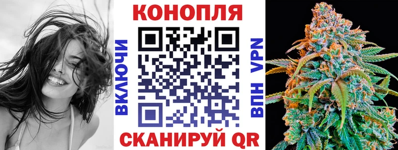 Бошки марихуана конопля  Острогожск 